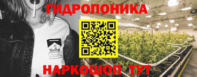 крисы Бугуруслан