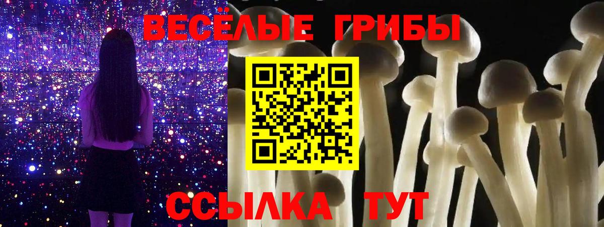 Псилоцибиновые грибы Magic Shrooms Рузаевка