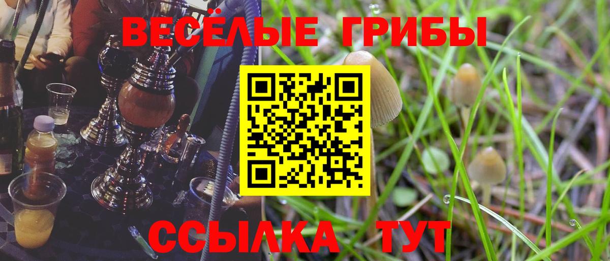Псилоцибиновые грибы Cubensis  хочу наркоту  Рузаевка  Вход с VPN  Галлюциногенные грибы GOLDEN TEACHER 